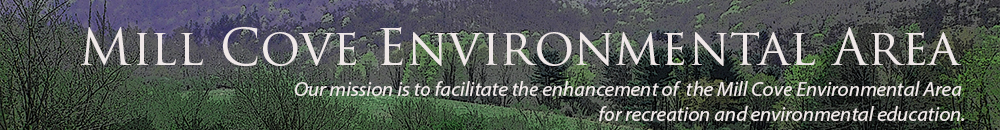 Mill Cove banner photo